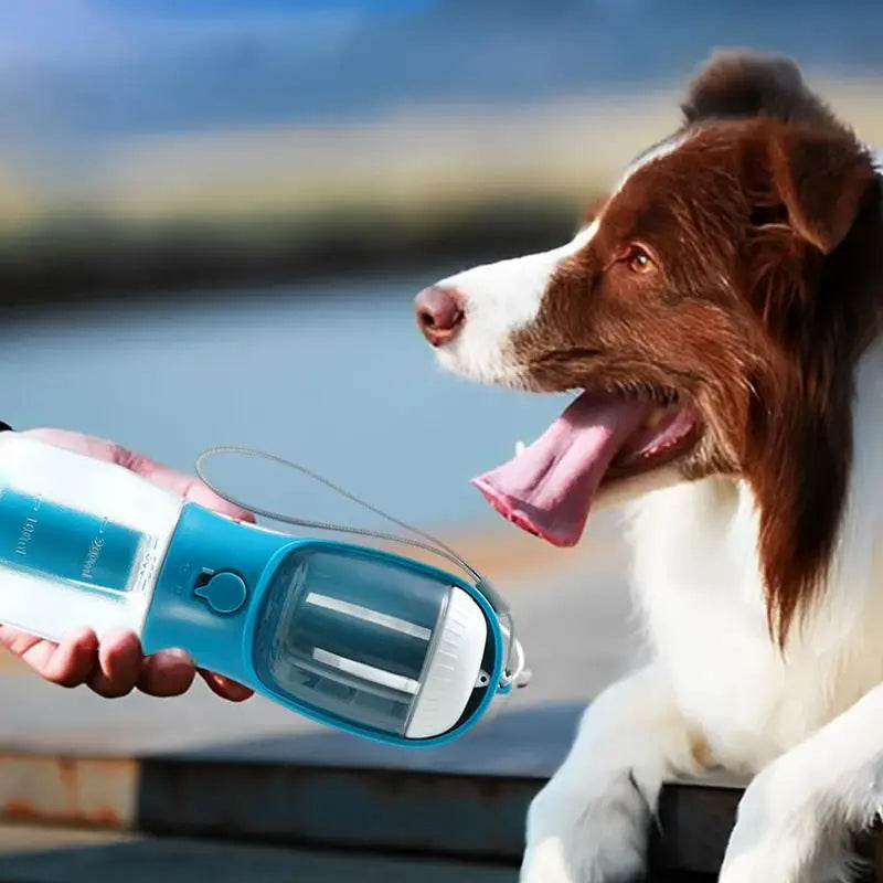 3-in-1 Pet Adventure Carrier — Water, Treats & Waste Bags All-in-One
